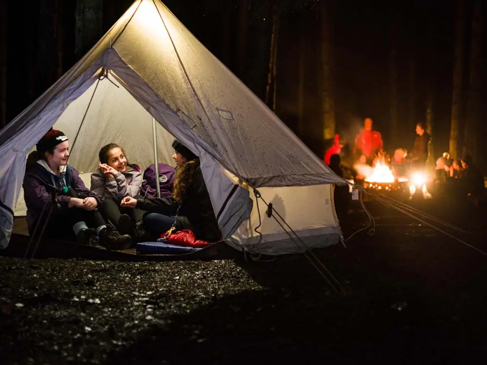 Three Cubs in a tent with at campfire