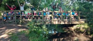 Highweek Beavers on bridge