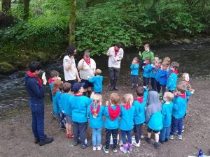 Highweek Beavers in forest