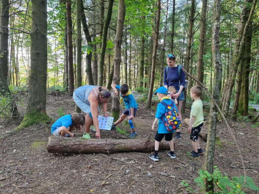 1st Chudleigh Beavers in the woods